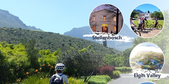 Cape Country Routes - Cycle the Cape 6-day Tour Package