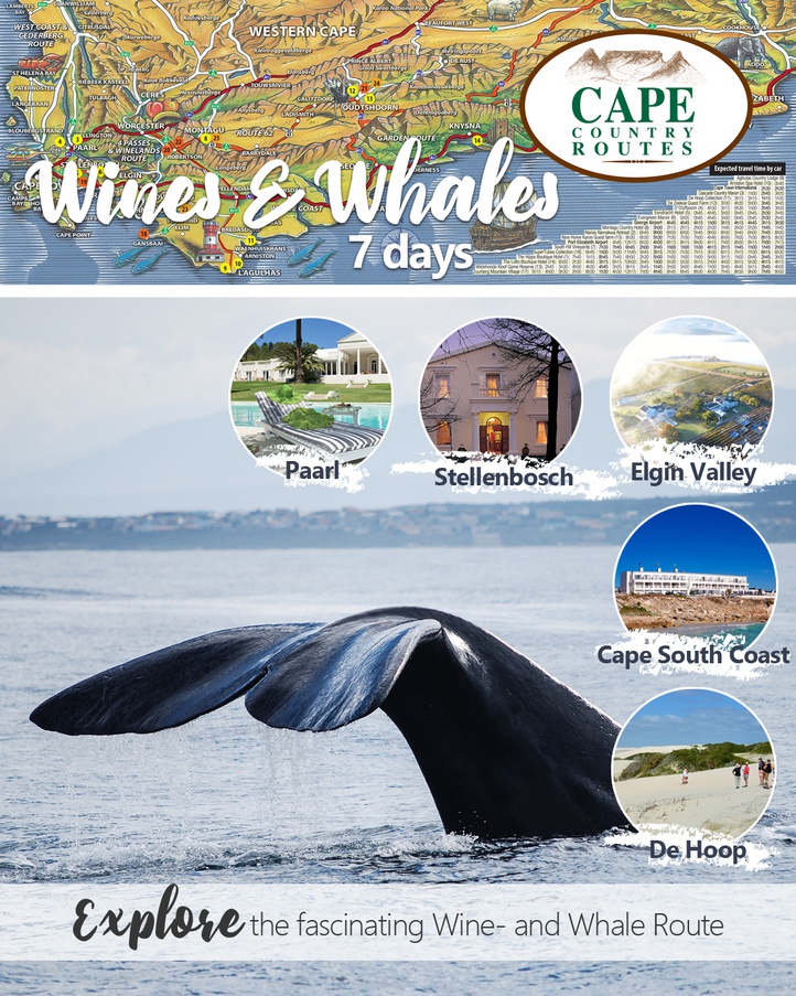 Cape Country Routes - Wines and Whales 7-day Tour Package - Road Trip
