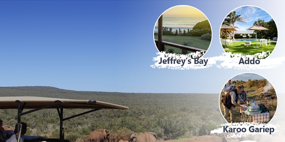 Cape Country Routes - The 'Big 5' - 'Shy 5' Tour 8-day Tour Package