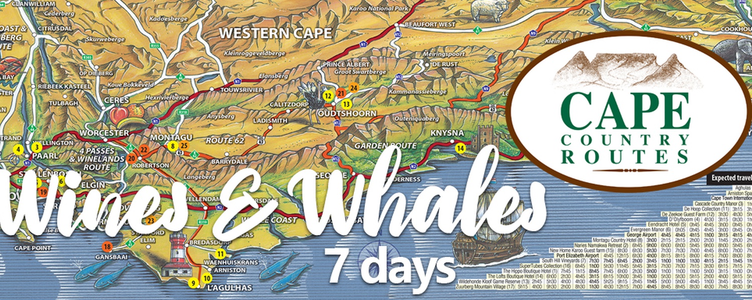 Cape Country Routes - Wines and Whales 7-day Tour Package - Road Trip