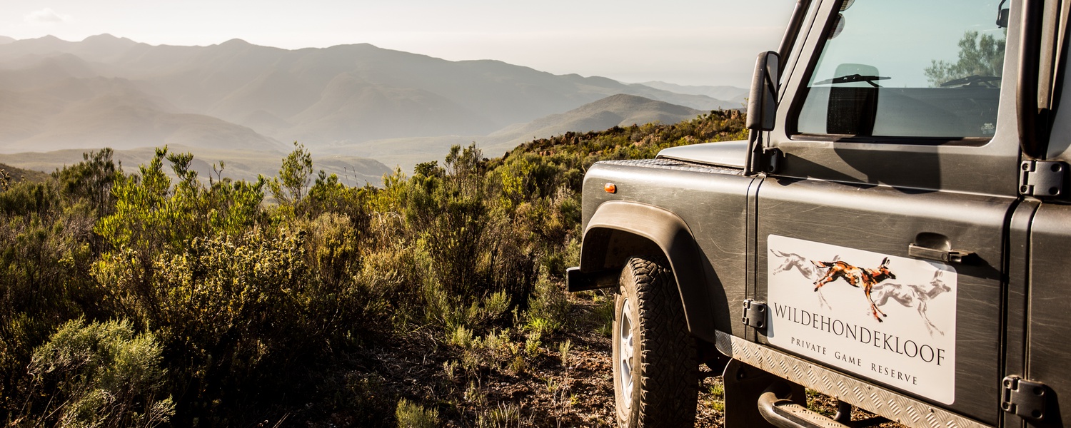 game drive included at Wildehondekloof Private Nature reserve