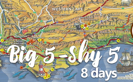 Big 5 Shy 5 Tour 8-day Tour Package - Road Trip