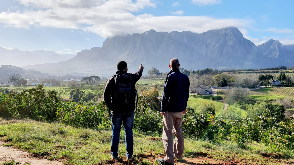 Guided Vineyard Hike