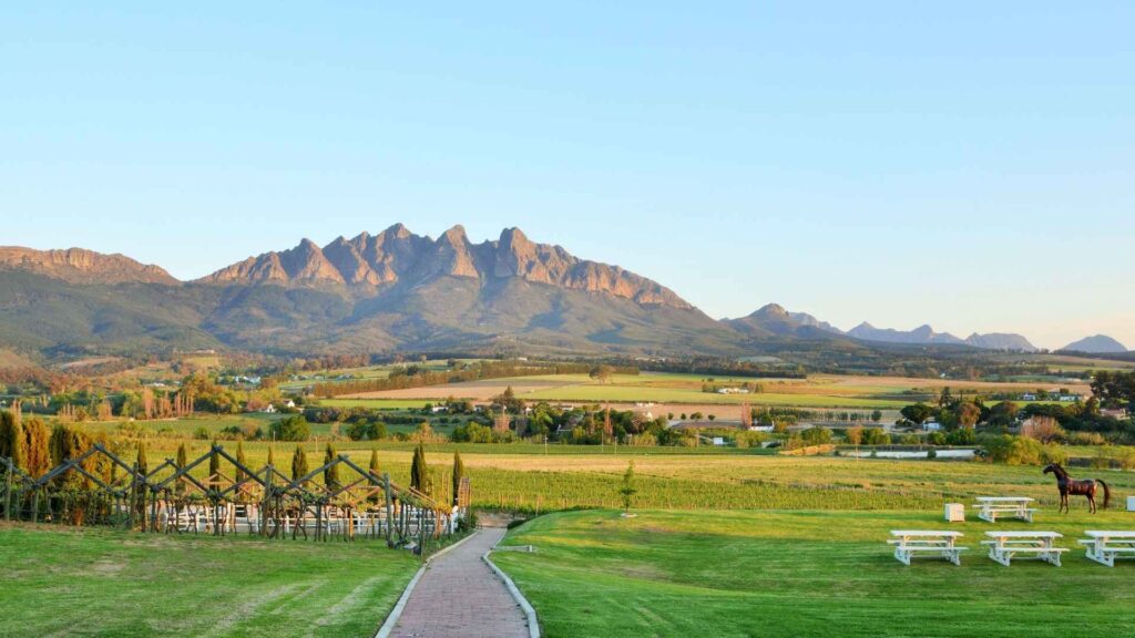 Cape Winelands Experience